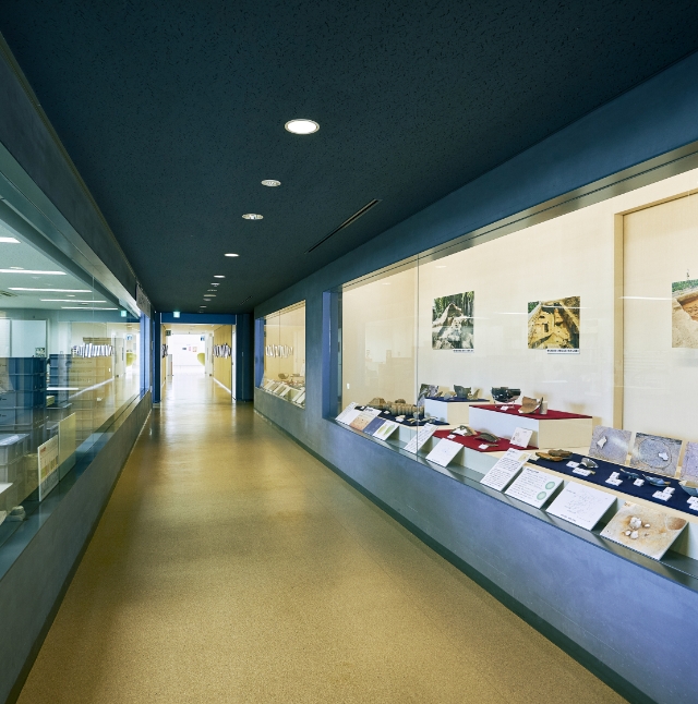 安城市埋蔵文化財センター