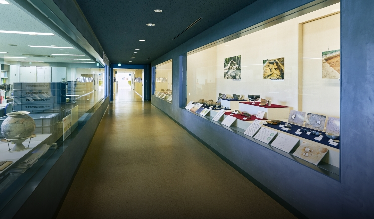 安城市埋蔵文化財センター